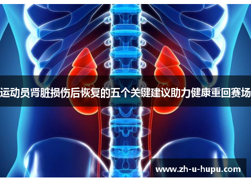 运动员肾脏损伤后恢复的五个关键建议助力健康重回赛场