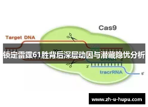 锁定雷霆61胜背后深层动因与潜藏隐忧分析