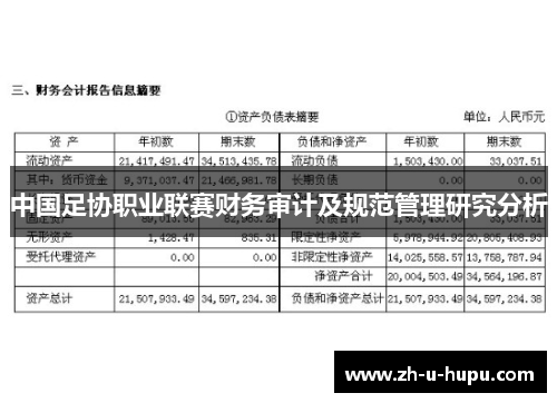 中国足协职业联赛财务审计及规范管理研究分析 中国足协职业联赛财务审计及规范管理研究分析