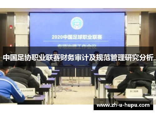 中国足协职业联赛财务审计及规范管理研究分析