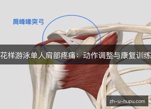 花样游泳单人肩部疼痛:动作调整与康复训练 花样游泳单人肩部疼痛:动作调整与康复训练